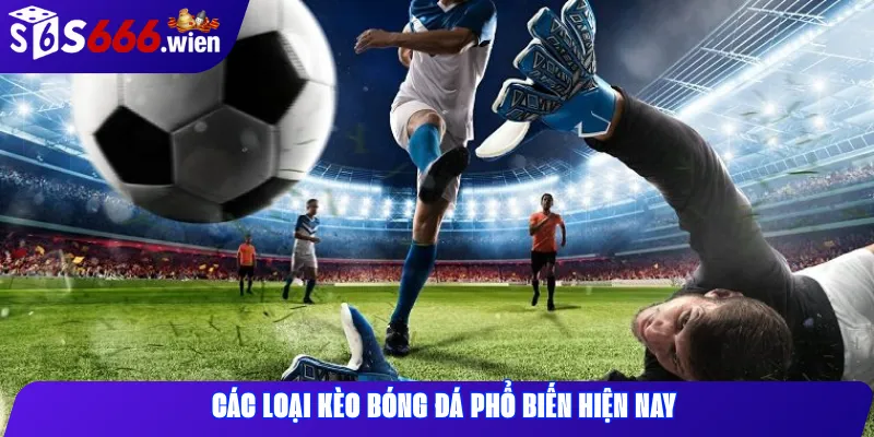 Các loại kèo bóng đá phổ biến hiện nay